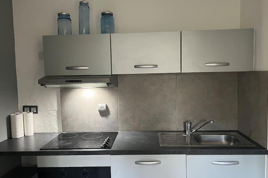 Appartement Studio Cannes